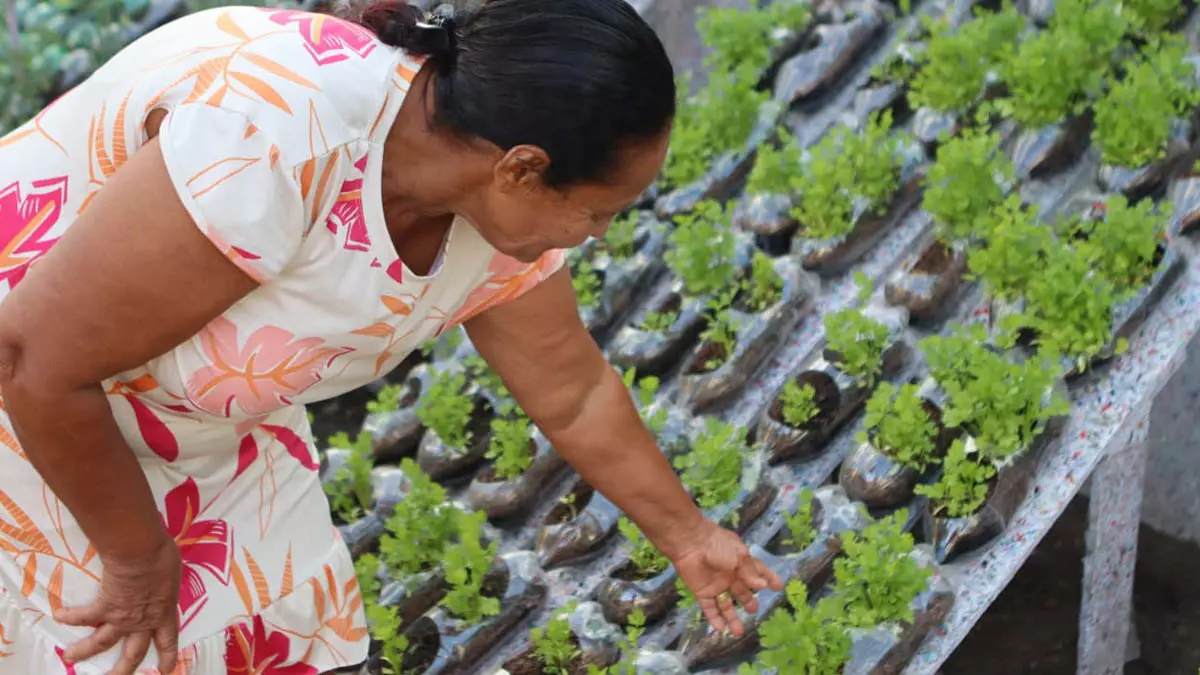entre a Solar Coca-Cola e o Governo da Bahia, foi inaugurada nesta segunda-feira (15), em Feira de Santana, a primeira horta hidropônica