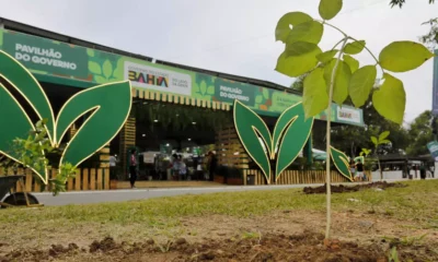 nativas e frutíferas. O projeto começa em 2026 pelo município de Barreiras, no oeste do estado, que receberá mil mudas da Caatinga