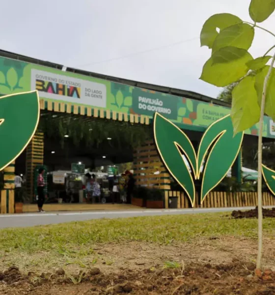 nativas e frutíferas. O projeto começa em 2026 pelo município de Barreiras, no oeste do estado, que receberá mil mudas da Caatinga