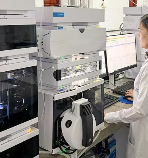 Uma pesquisa inovadora sobre abelhas-sem-ferrão, conduzida pela doutora Jossimara Neiva, pesquisadora do Centro