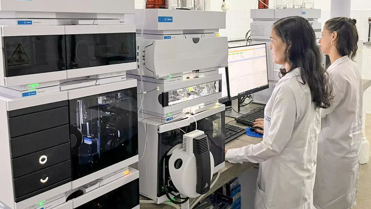 Uma pesquisa inovadora sobre abelhas-sem-ferrão, conduzida pela doutora Jossimara Neiva, pesquisadora do Centro