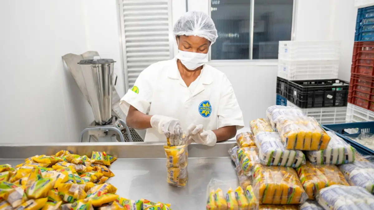 A Casa Civil do Governo da Bahia promoverá, nos dias 11 e 12 de dezembro, em Salvador, um mapeamento abrangente das cooperativas