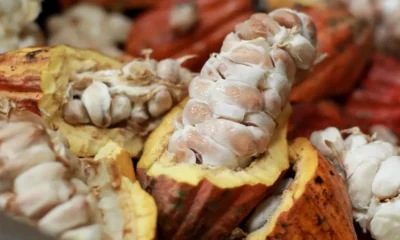 Depois de mais de duas décadas de tratativas, o acordo de livre comércio entre Mercosul e União Europeia deu um passo decisivo