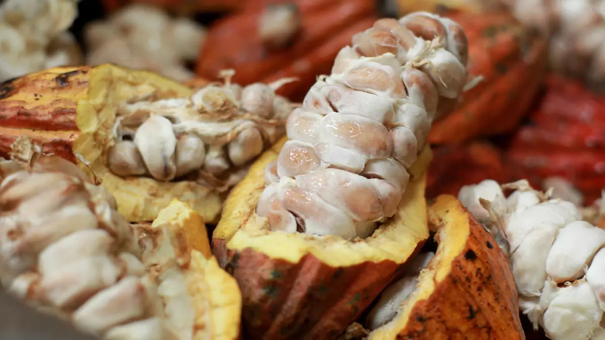 Depois de mais de duas décadas de tratativas, o acordo de livre comércio entre Mercosul e União Europeia deu um passo decisivo