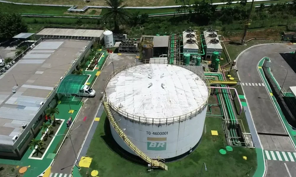 crescimento da produção de biodiesel, da ampliação das exportações e dos impactos positivos para o desenvolvimento econômico e