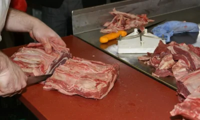 Se ligue nas vagas de emprego disponíveis no SineBahia para Salvador, RMS e interior do estado nesta terça-feira (6).