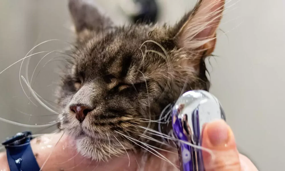 O Serviço Municipal de Intermediação de Mão de Obra (Simm) oferece 513 vagas de emprego e estágio em Salvador para esta quarta-feira (14)