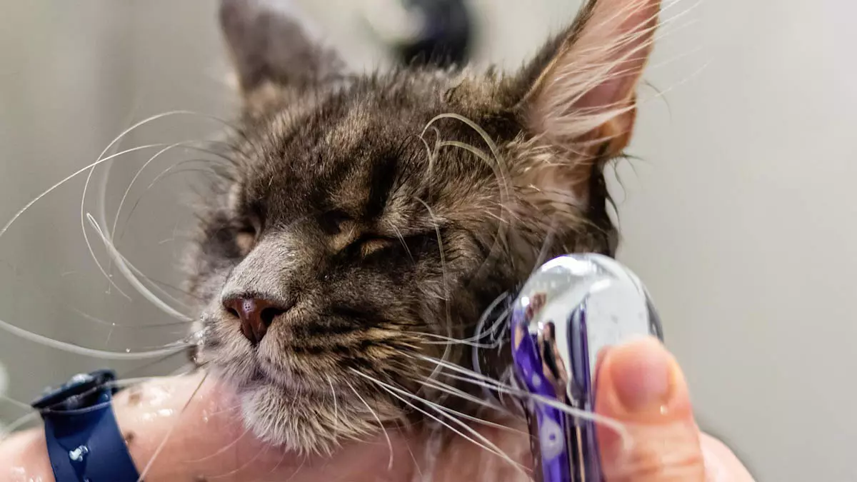 O Serviço Municipal de Intermediação de Mão de Obra (Simm) oferece 513 vagas de emprego e estágio em Salvador para esta quarta-feira (14)