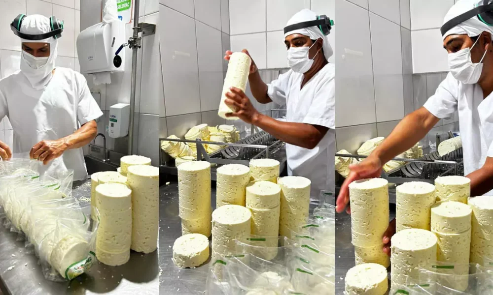 A produção de queijos na Bahia vive um momento de destaque e reconhecimento. Neste Dia Mundial do Queijo, celebrado nesta terça-feira