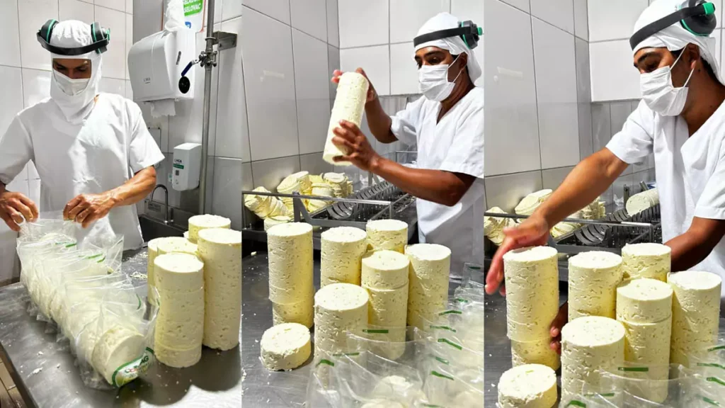 A produção de queijos na Bahia vive um momento de destaque e reconhecimento. Neste Dia Mundial do Queijo, celebrado nesta terça-feira
