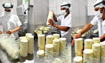A produção de queijos na Bahia vive um momento de destaque e reconhecimento. Neste Dia Mundial do Queijo, celebrado nesta terça-feira