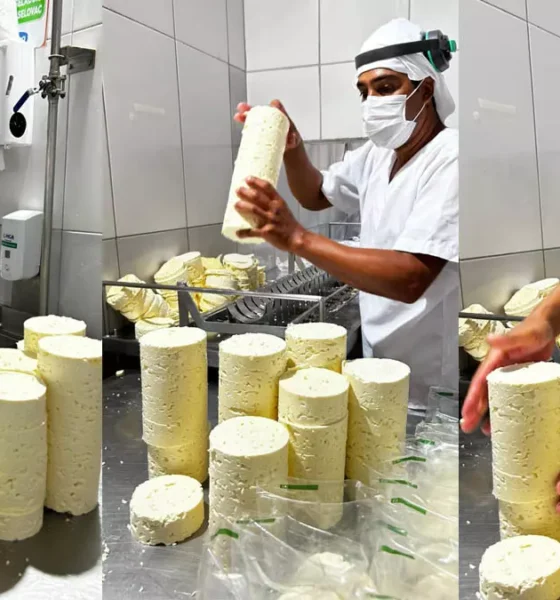 A produção de queijos na Bahia vive um momento de destaque e reconhecimento. Neste Dia Mundial do Queijo, celebrado nesta terça-feira