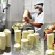A produção de queijos na Bahia vive um momento de destaque e reconhecimento. Neste Dia Mundial do Queijo, celebrado nesta terça-feira