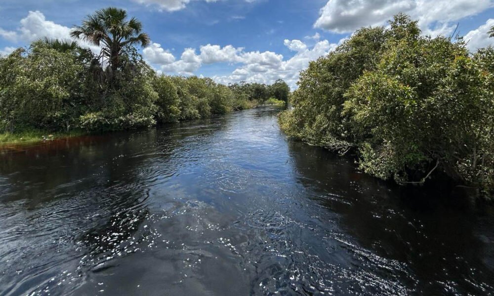 A Bahia exemplifica bem essa realidade. Cerca de 70% do território estadual está inserido no semiárido, segundo o IBGE, o
