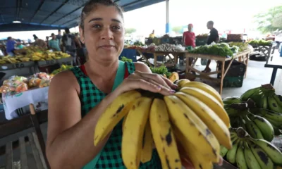 Desenvolvimento Rural (SDR), por meio da Companhia de Desenvolvimento e Ação Regional (CAR), ampliou os investimentos na construção,