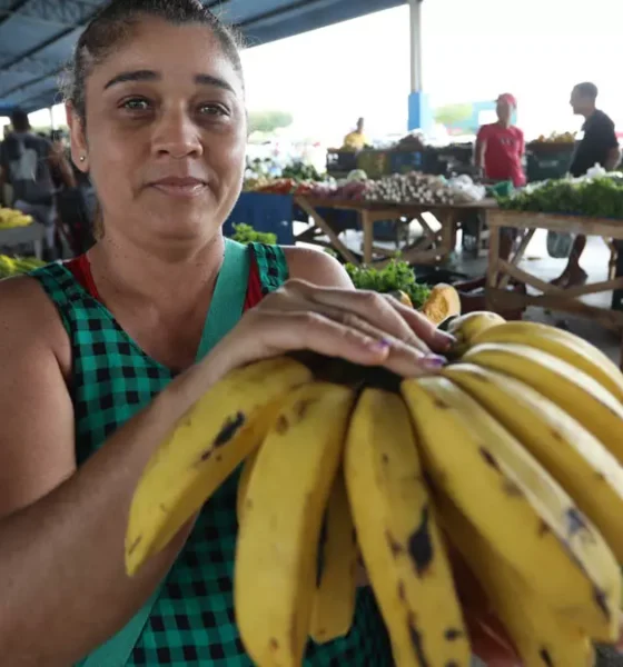 Desenvolvimento Rural (SDR), por meio da Companhia de Desenvolvimento e Ação Regional (CAR), ampliou os investimentos na construção,