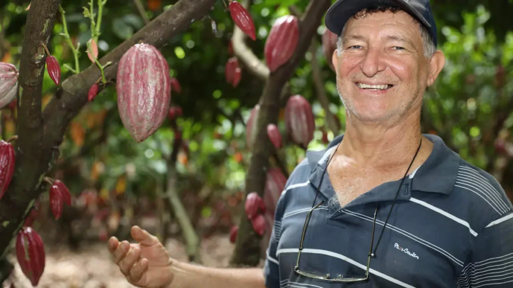 importações de amêndoas de cacau da República da Costa do Marfim. A decisão, publicada no Despacho Decisório nº 456/2026,