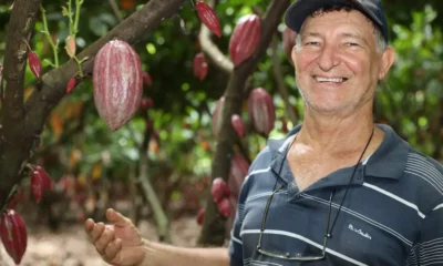 importações de amêndoas de cacau da República da Costa do Marfim. A decisão, publicada no Despacho Decisório nº 456/2026,