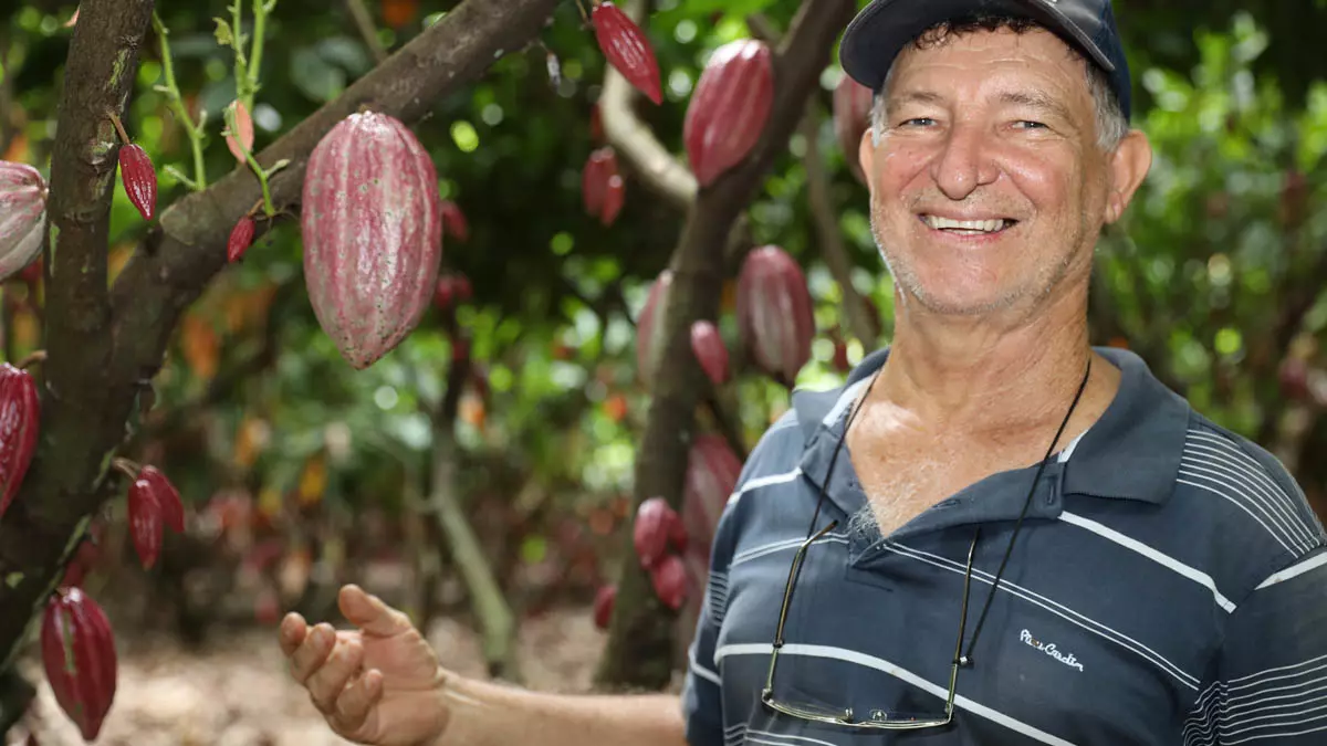 importações de amêndoas de cacau da República da Costa do Marfim. A decisão, publicada no Despacho Decisório nº 456/2026,