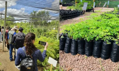 A Embasa distribuiu, ao longo de 2025, cerca de 70 mil mudas de espécies nativas da Caatinga, Cerrado e Mata Atlântica, em mais de 300 ações