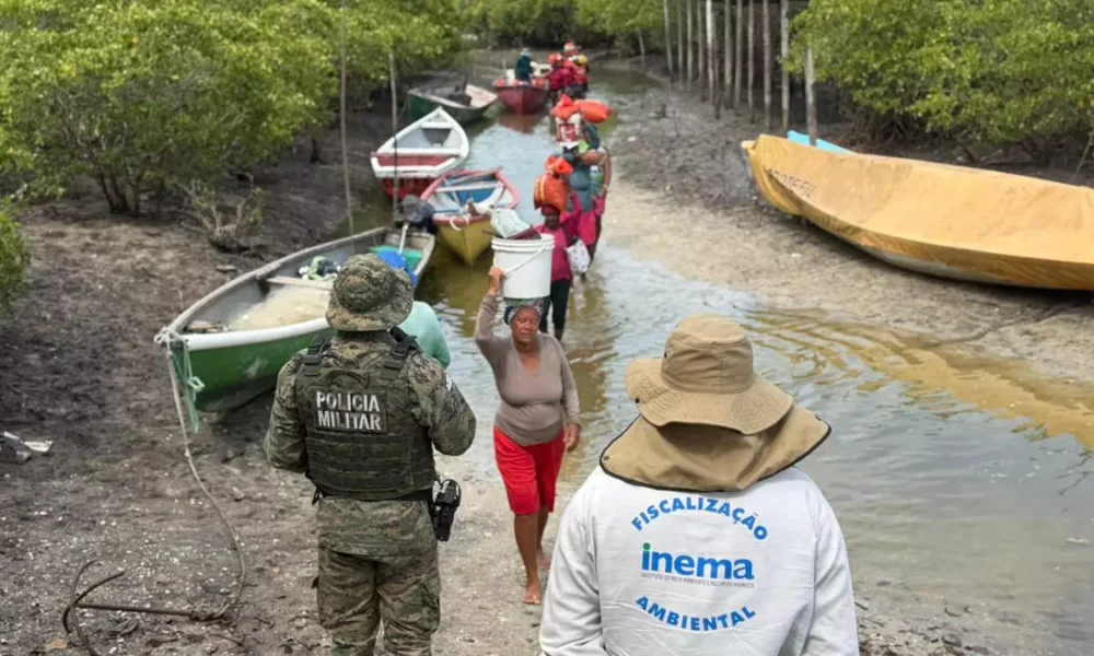 O Instituto do Meio Ambiente e Recursos Hídricos (Inema) realizou, nos meses de janeiro e fevereiro, duas etapas de ações planejadas