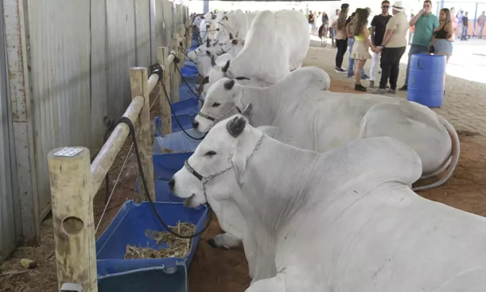 A economia da Bahia encerrou 2025 em trajetória de crescimento, com avanço de 2,7% no acumulado do ano, de acordo com