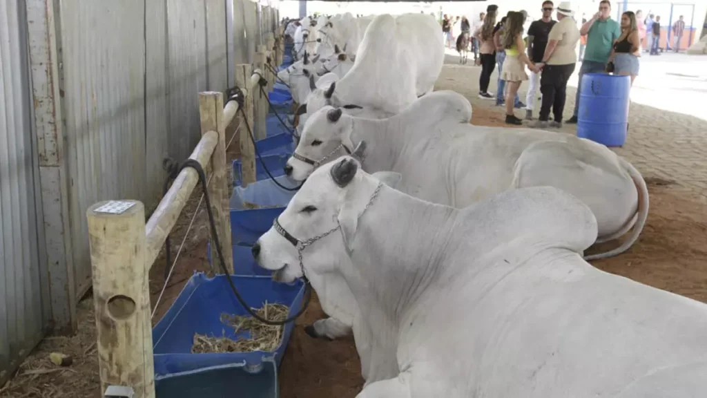 A economia da Bahia encerrou 2025 em trajetória de crescimento, com avanço de 2,7% no acumulado do ano, de acordo com