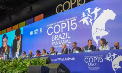 A Bahia participa da 15ª Conferência das Partes (COP15) da Convenção sobre a Conservação das Espécies Migratórias de