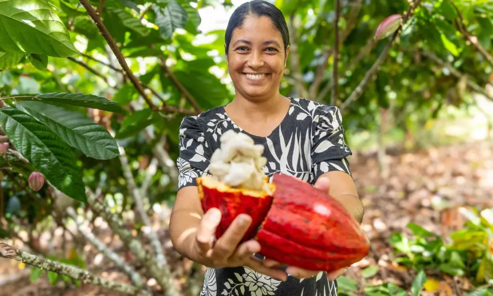 A aprovação, pela Câmara dos Deputados, do Projeto de Lei nº 1.769/2019 foi recebida como uma conquista histórica para a cadeia produtiva