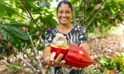 A aprovação, pela Câmara dos Deputados, do Projeto de Lei nº 1.769/2019 foi recebida como uma conquista histórica para a cadeia produtiva