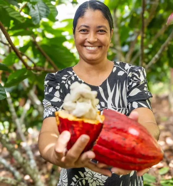 A aprovação, pela Câmara dos Deputados, do Projeto de Lei nº 1.769/2019 foi recebida como uma conquista histórica para a cadeia produtiva