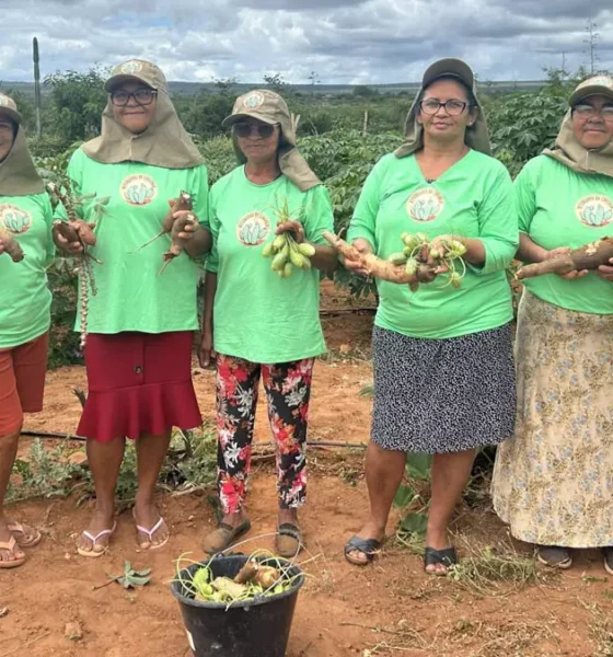 O Grupo de Mulheres Defensoras da Caatinga, formado por moradoras das comunidades de Fundo de Pasto Mangabeira
