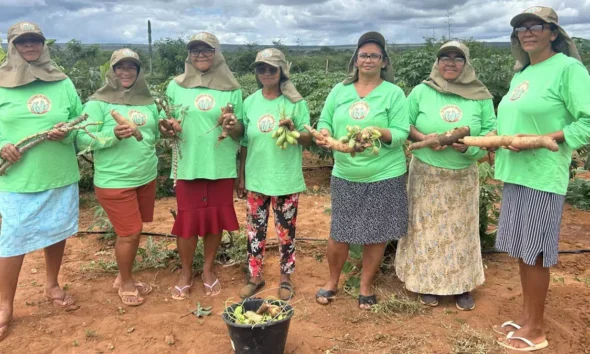 O Grupo de Mulheres Defensoras da Caatinga, formado por moradoras das comunidades de Fundo de Pasto Mangabeira