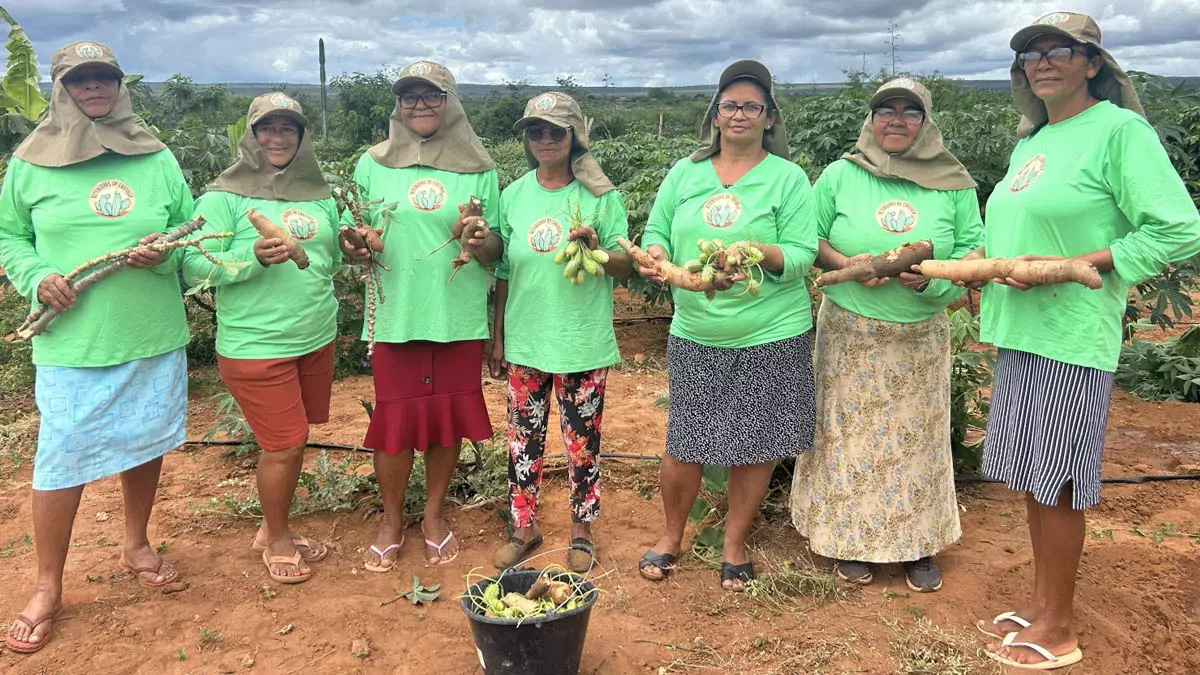 O Grupo de Mulheres Defensoras da Caatinga, formado por moradoras das comunidades de Fundo de Pasto Mangabeira