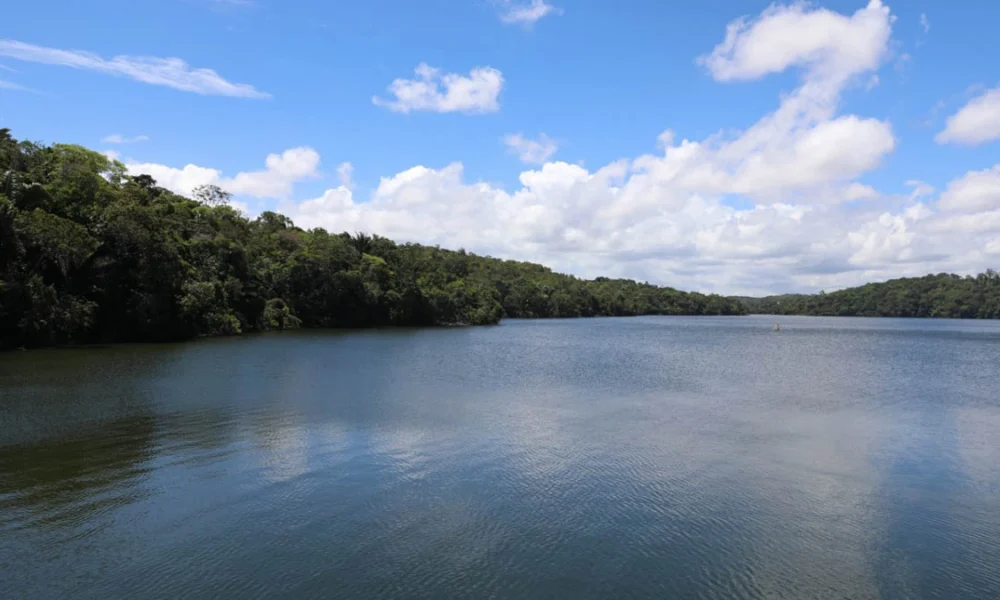 No Dia Mundial da Água, celebrado em 22 de março, a Bahia destaca os avanços na gestão dos recursos hídricos e reafirma o compromisso