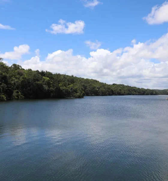 No Dia Mundial da Água, celebrado em 22 de março, a Bahia destaca os avanços na gestão dos recursos hídricos e reafirma o compromisso