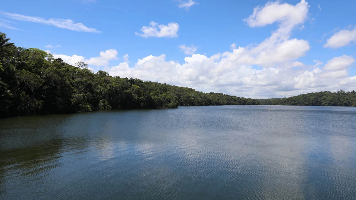 No Dia Mundial da Água, celebrado em 22 de março, a Bahia destaca os avanços na gestão dos recursos hídricos e reafirma o compromisso