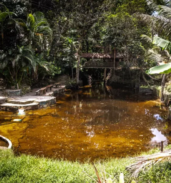 A Bahia reúne uma ampla diversidade de roteiros de turismo rural de base comunitária que proporcionam experiências culturais autênticas,