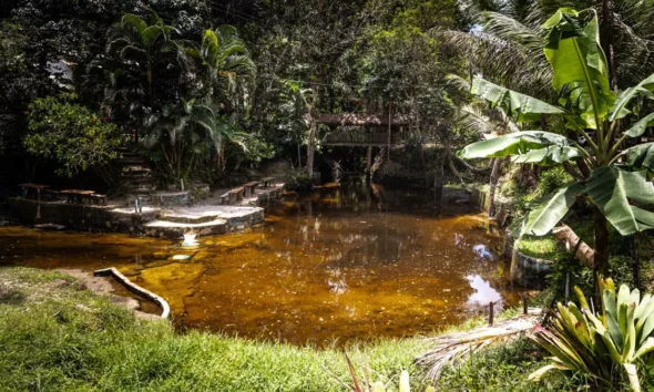 A Bahia reúne uma ampla diversidade de roteiros de turismo rural de base comunitária que proporcionam experiências culturais autênticas,