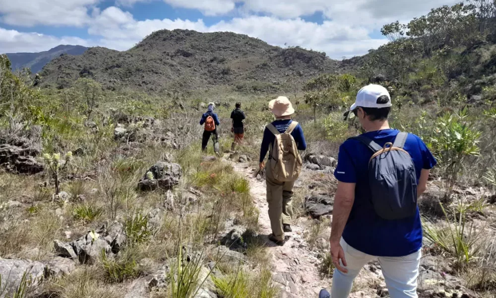 Celebrado em 1º de março, o Dia do Turismo Ecológico convida à reflexão sobre uma prática que vai além da simples visita a paisagens naturais.