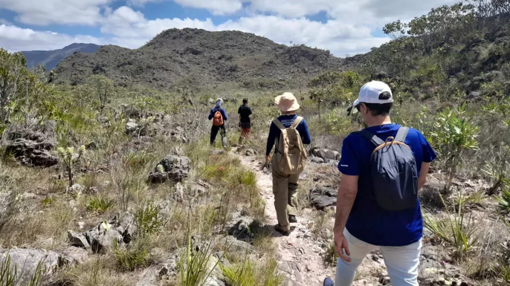 Celebrado em 1º de março, o Dia do Turismo Ecológico convida à reflexão sobre uma prática que vai além da simples visita a paisagens naturais.