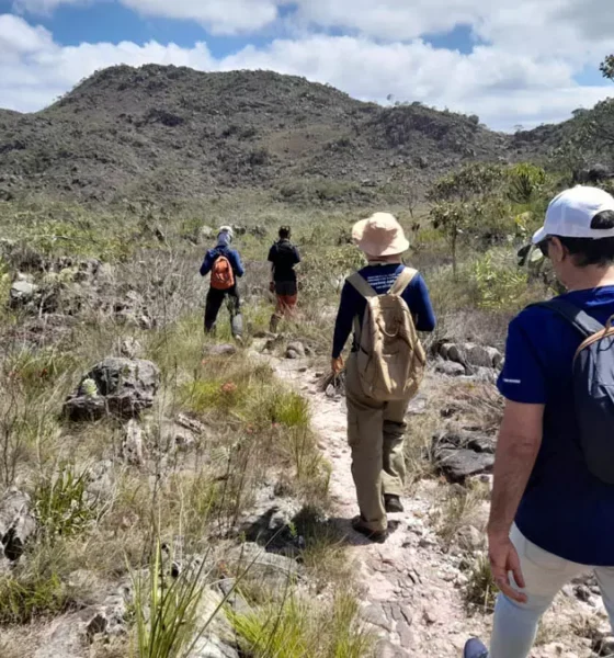 Celebrado em 1º de março, o Dia do Turismo Ecológico convida à reflexão sobre uma prática que vai além da simples visita a paisagens naturais.