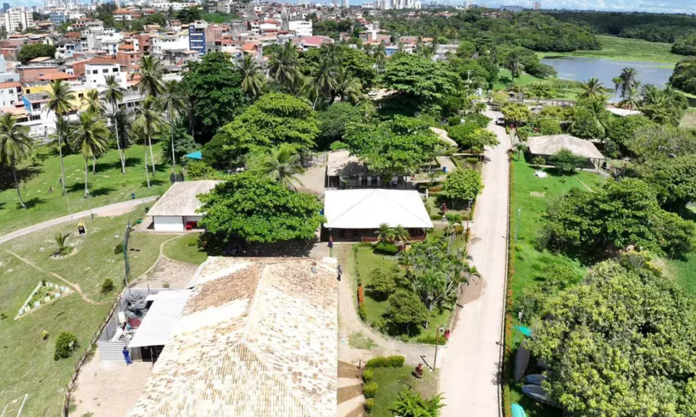 Com entrega prevista para o mês de abril, a primeira fase da requalificação do Parque Metropolitano de Pituaçu (PMP) já alcançou 90%