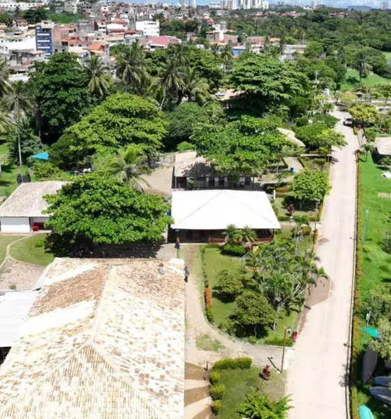 Com entrega prevista para o mês de abril, a primeira fase da requalificação do Parque Metropolitano de Pituaçu (PMP) já alcançou 90%