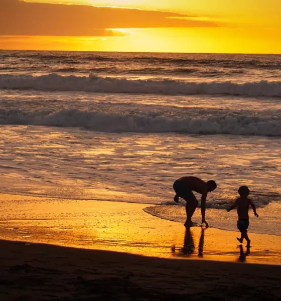 corrupção, assassinatos, agressões, catástrofes e afins. Mas vocês já perceberam que, ao nosso redor, o bem sempre predomina? 