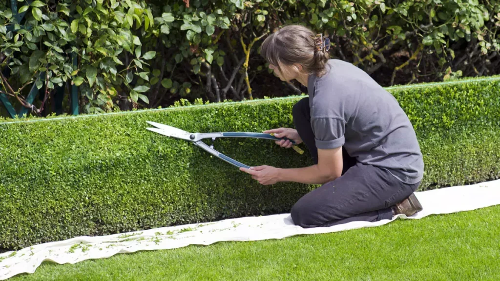 O Serviço Municipal de Intermediação de Mão de Obra (Simm) oferece 543 vagas de emprego e estágio em Salvador para a próxima