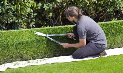 O Serviço Municipal de Intermediação de Mão de Obra (Simm) oferece 543 vagas de emprego e estágio em Salvador para a próxima