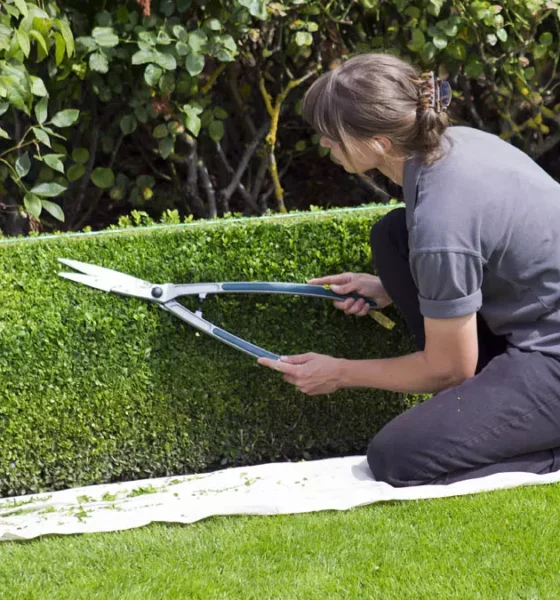 O Serviço Municipal de Intermediação de Mão de Obra (Simm) oferece 543 vagas de emprego e estágio em Salvador para a próxima