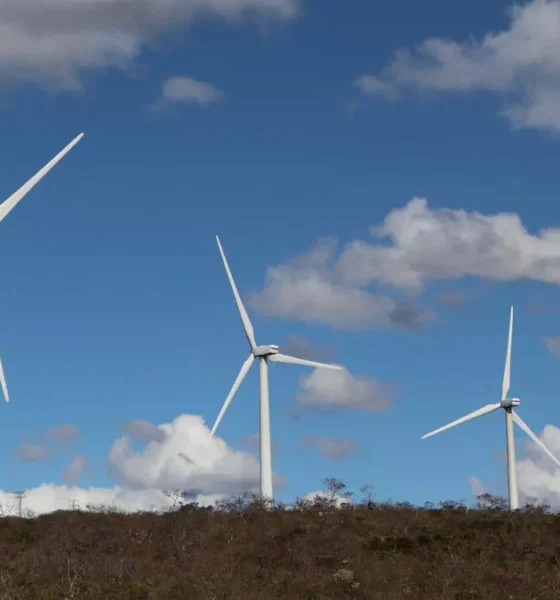 A Bahia segue consolidando sua posição de destaque no cenário nacional de energias renováveis, impulsionada pelo desempenho