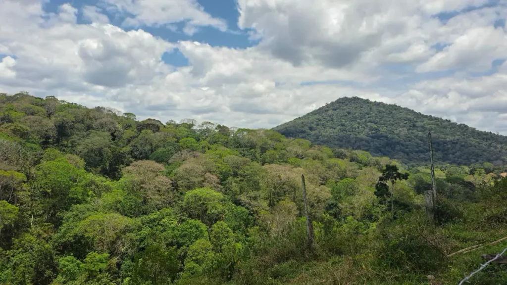 sul do estado. As ações fazem parte da execução do Termo de Compromisso Socioambiental (TCSA) Porto Sul e têm como foco